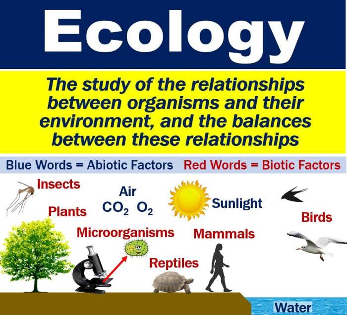 Ecology vocabulary interactions within the environment answer key